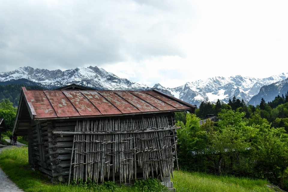 Baum berg haus gebäude