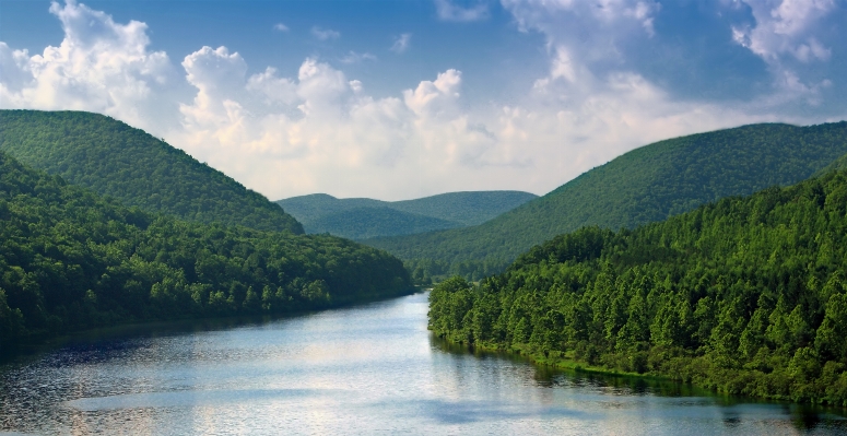 Landscape tree water nature Photo