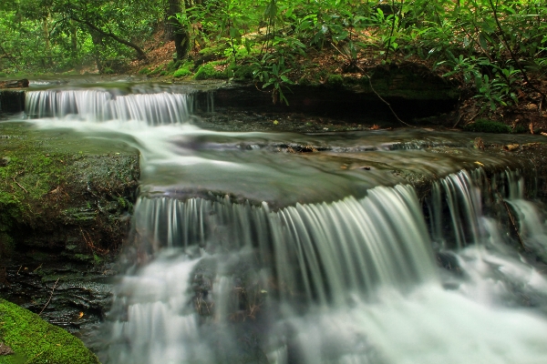 Water nature forest waterfall Photo