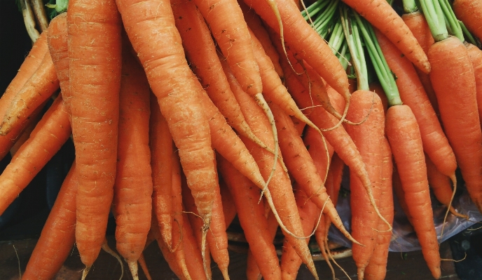 Food produce vegetable carrot Photo