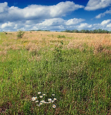 Landscape nature grass horizon Photo