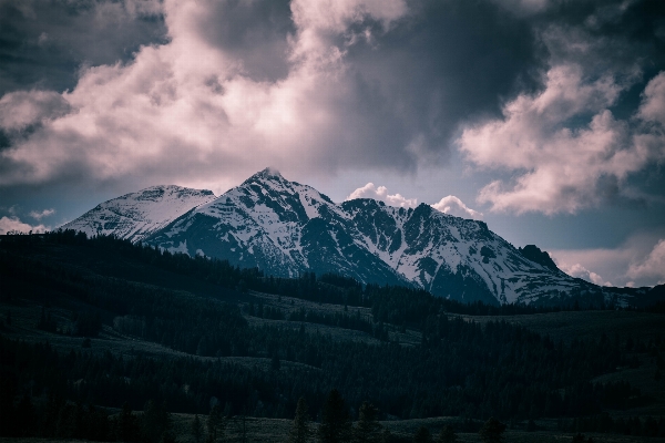 Landscape nature forest mountain Photo