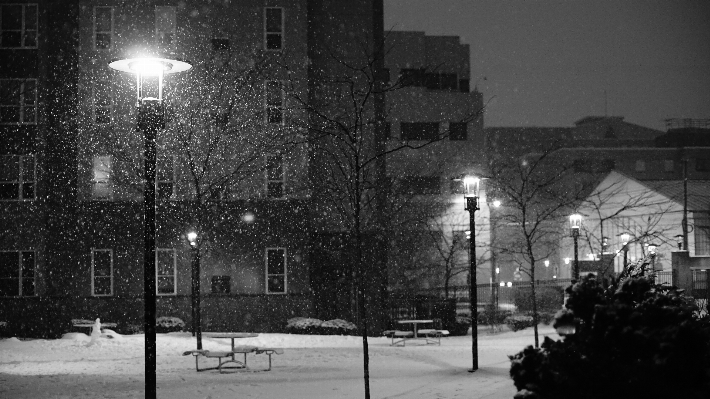 Photo Neige hiver noir et blanc
 rue