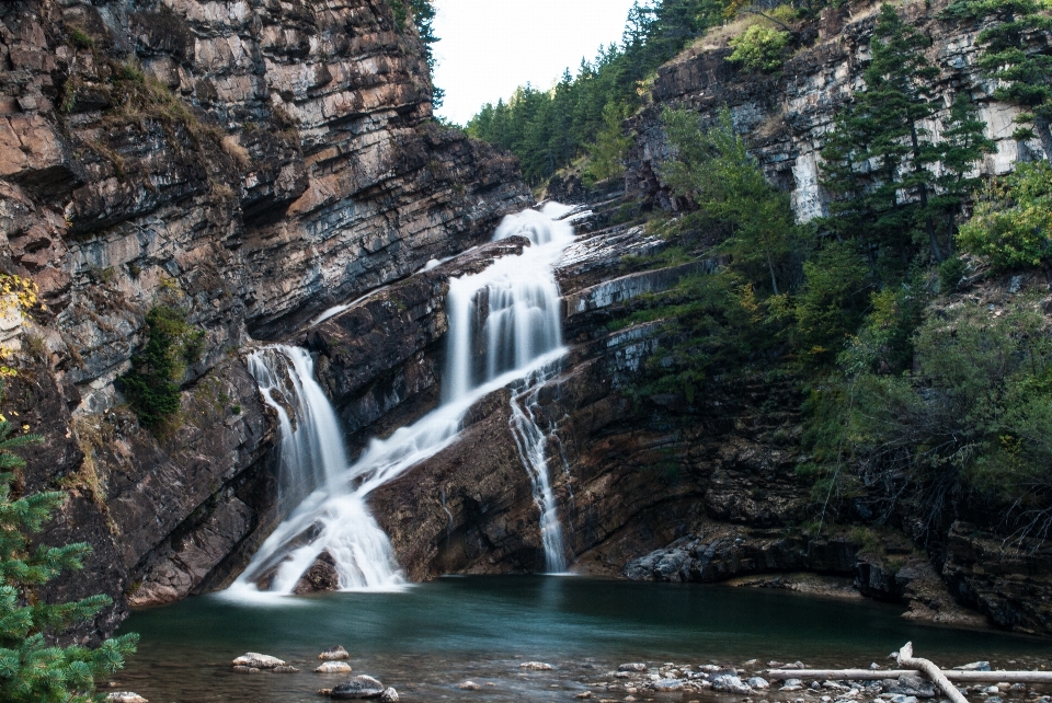 árvore água rock cachoeira