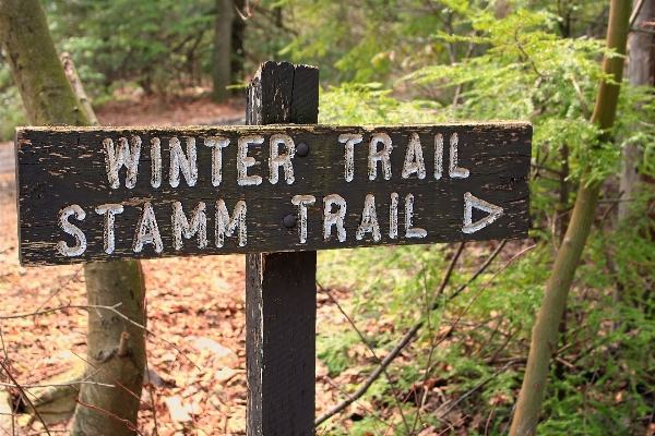 Forest hiking trail sign Photo