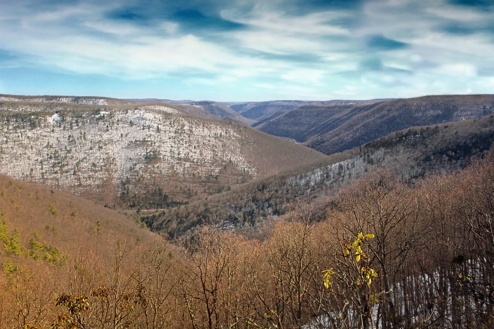 Paisagem árvore natureza região selvagem
