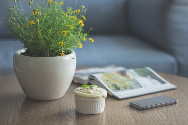 Table plant flower food Photo