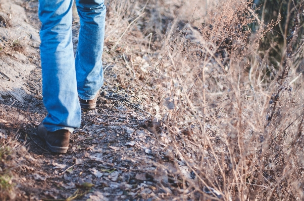 Forest grass walking person Photo