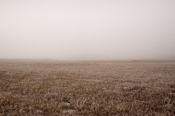 Landscape grass horizon marsh Photo