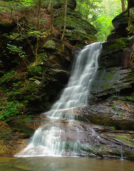 Eau forêt cascade ruisseau
