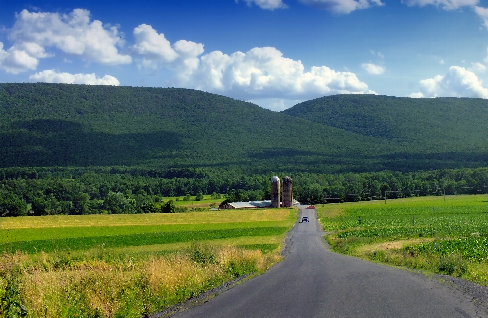 Landscape nature grass horizon