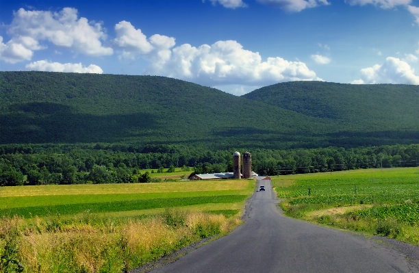 Landscape nature grass horizon Photo