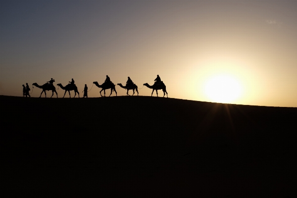 Landscape silhouette sun sunset Photo