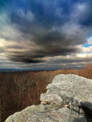 Landscape sea coast nature Photo