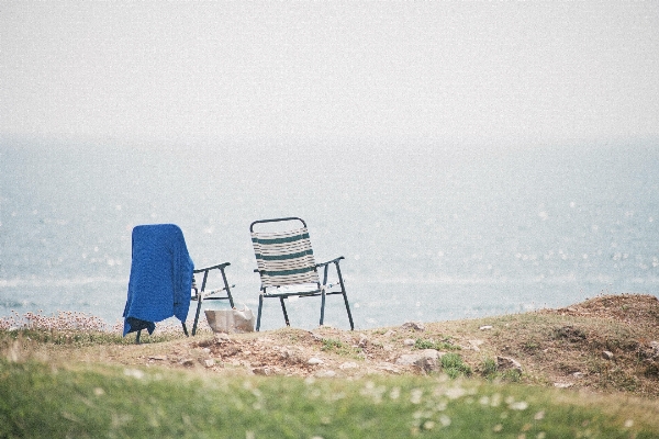 ビーチ 海 海岸 草 写真