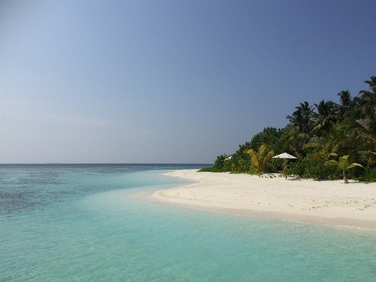 Beach sea coast sand Photo