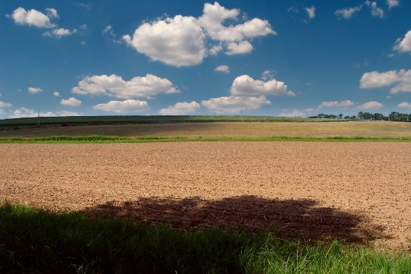 Foto Paisaje césped horizonte nube