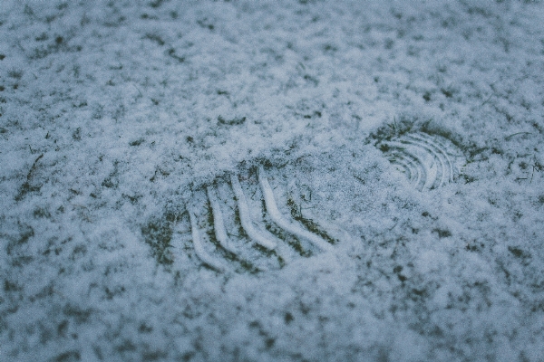 Gras schnee winter fußabdruck Foto