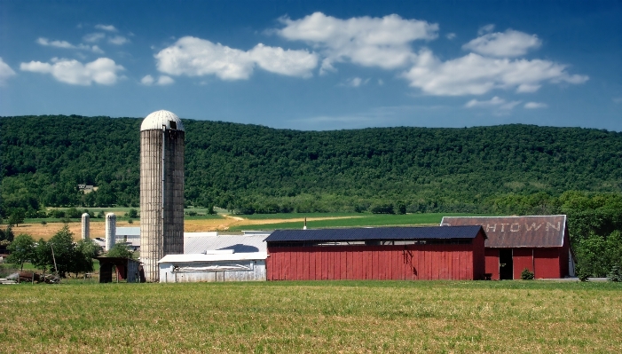 Landscape grass mountain structure Photo