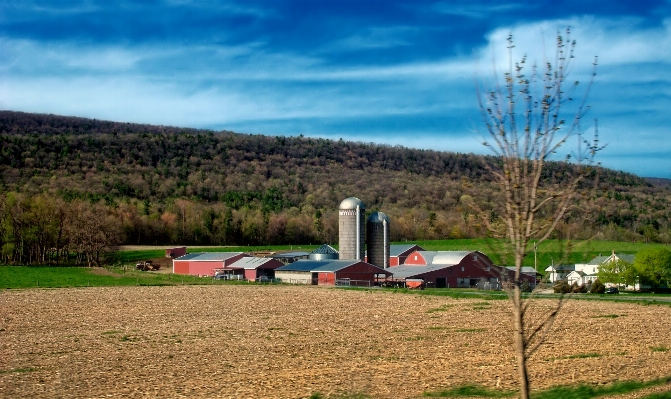 Landscape grass mountain sky Photo