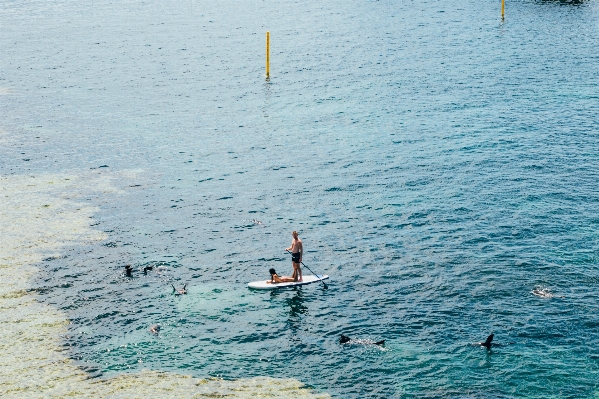 海 海洋 木板 海浪 照片