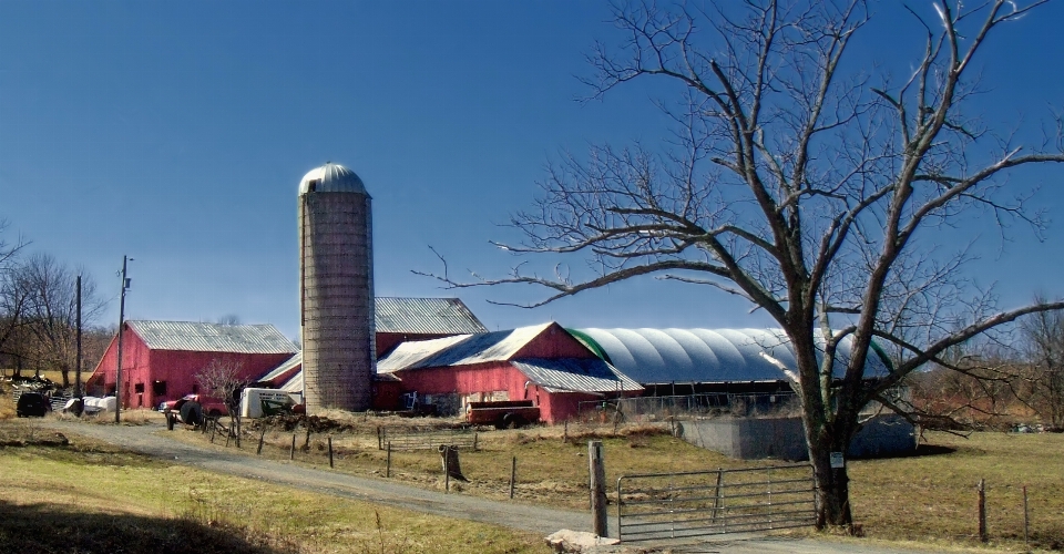 Sky farm rural stadium