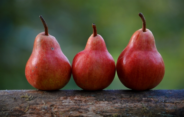 Foto Plantar fruta comida produzir