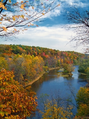 Landscape tree water nature Photo