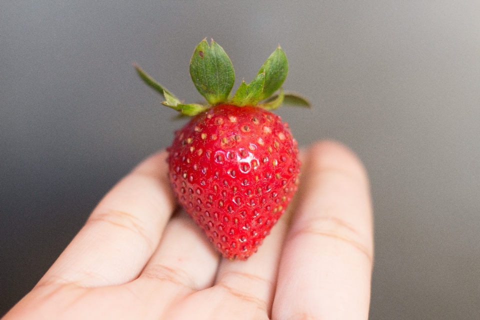 Hand plant fruit berry