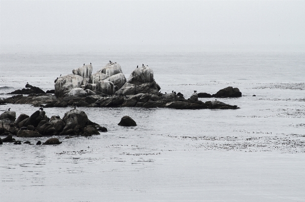 Beach sea coast sand Photo