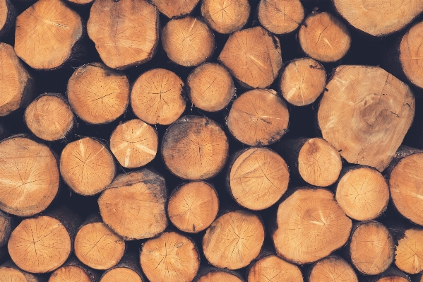 Wood pile log food Photo