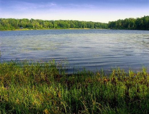 Landscape tree water nature Photo