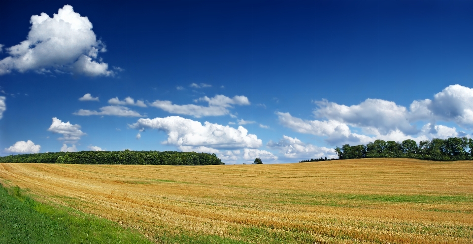 Paysage herbe horizon nuage