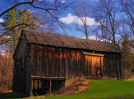 Tree architecture wood farm Photo