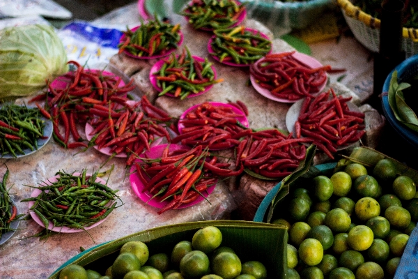 Foto Tanaman buah bunga kota