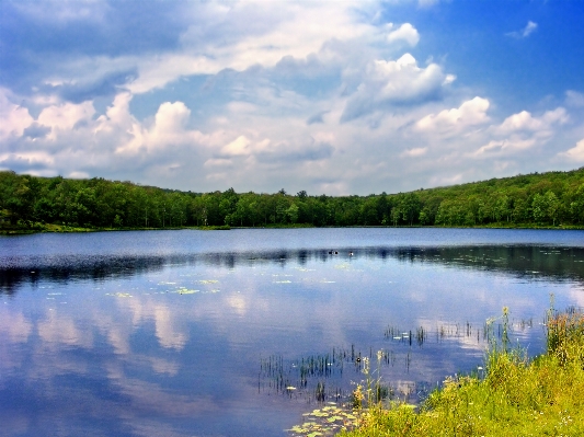 Landscape tree water nature Photo