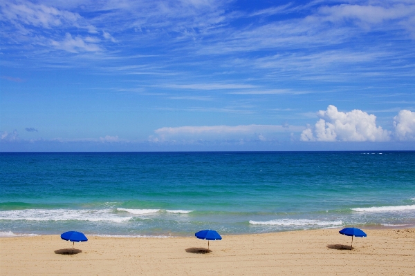 Beach sea coast sand Photo