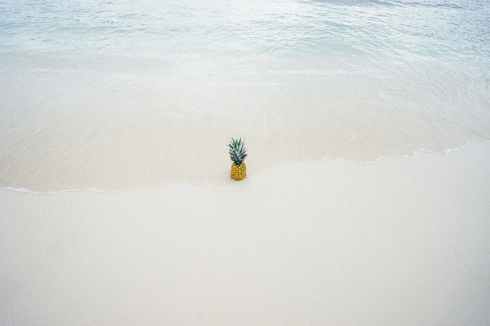 Pantai laut air pasir