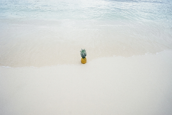 Beach sea water sand Photo