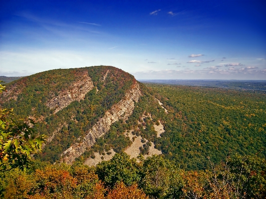 風景 木 自然 rock 写真