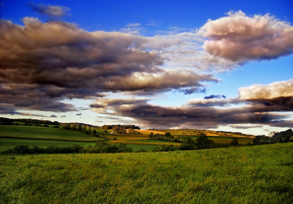 Paisagem natureza grama horizonte