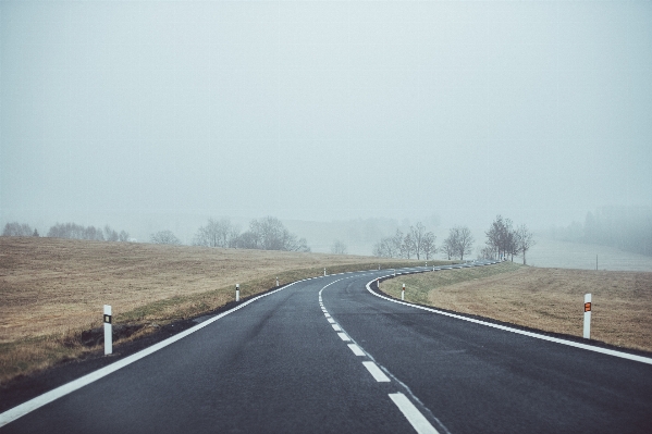 Tree fog road highway Photo