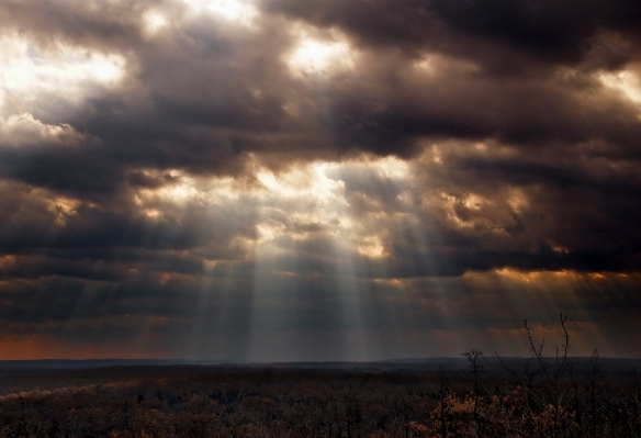 Landscape sea nature horizon Photo