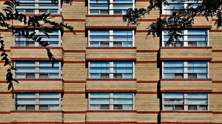 Architecture wood sunshine morning Photo