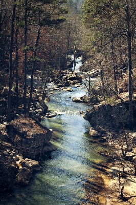 Landscape tree water nature Photo