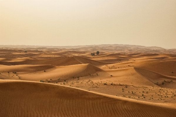 Landscape sand warm desert Photo