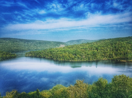 Landscape tree water nature Photo