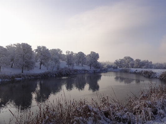 Landscape tree water nature Photo