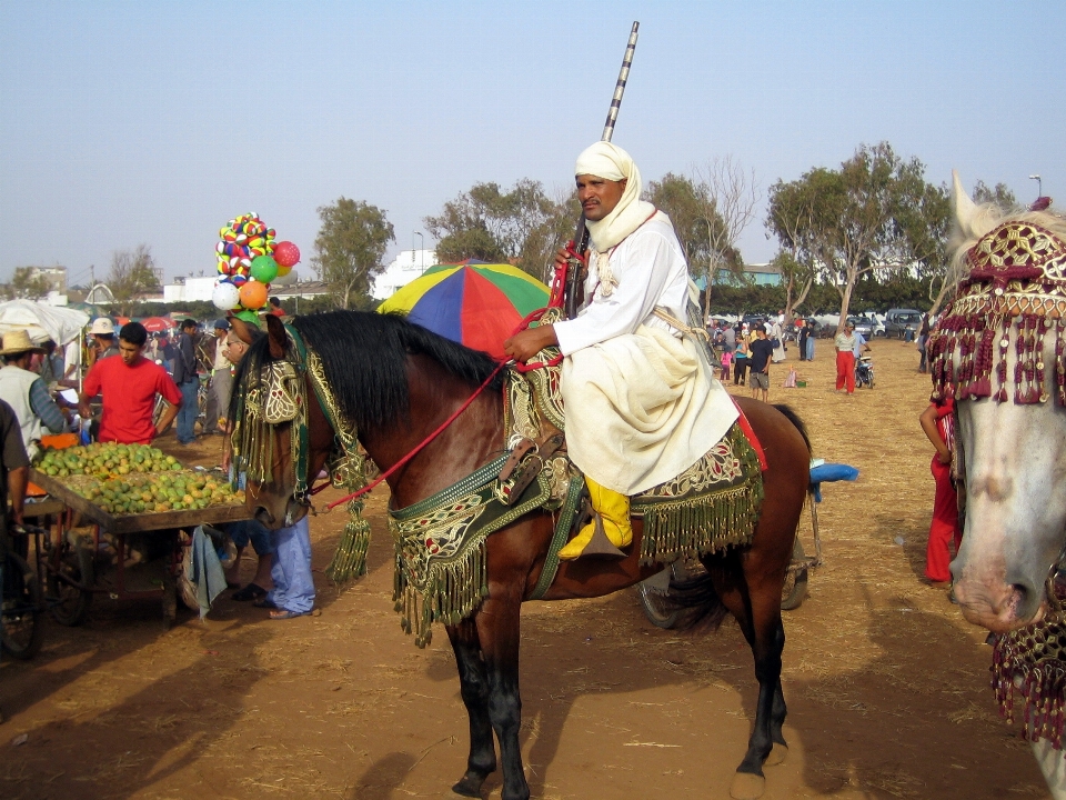 Extérieur personnes animal cheval