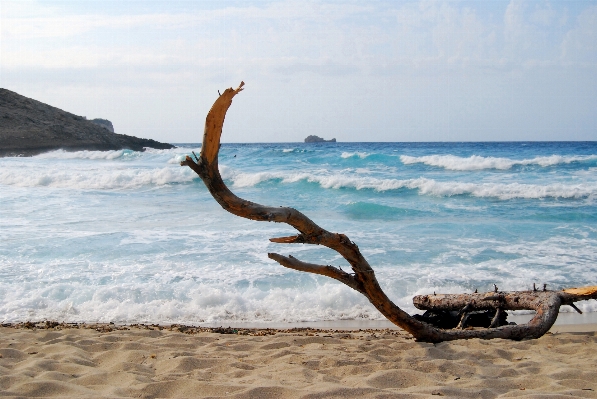 Beach sea coast sand Photo